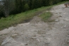 IMG_6641.jpg